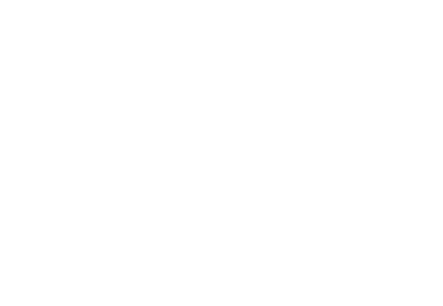 Logo of Savannah Painting Experts - Quality Residential and Commercial Painting.